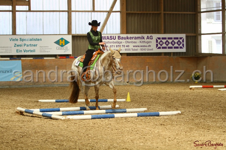 28-ApHC OT_141.jpg